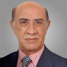Ali Abbas Hadi Al-Shaham